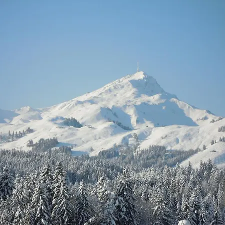 Appartamento Foidl Simon Fieberbrunn