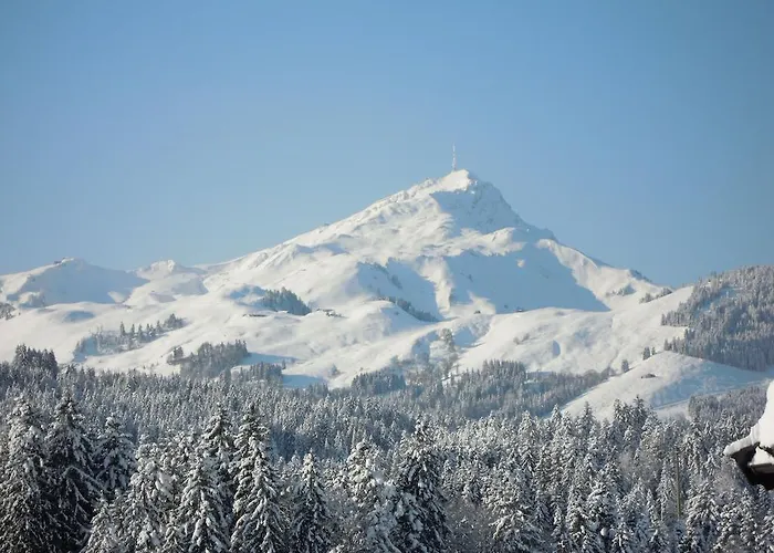 Apartament Foidl Simon Fieberbrunn